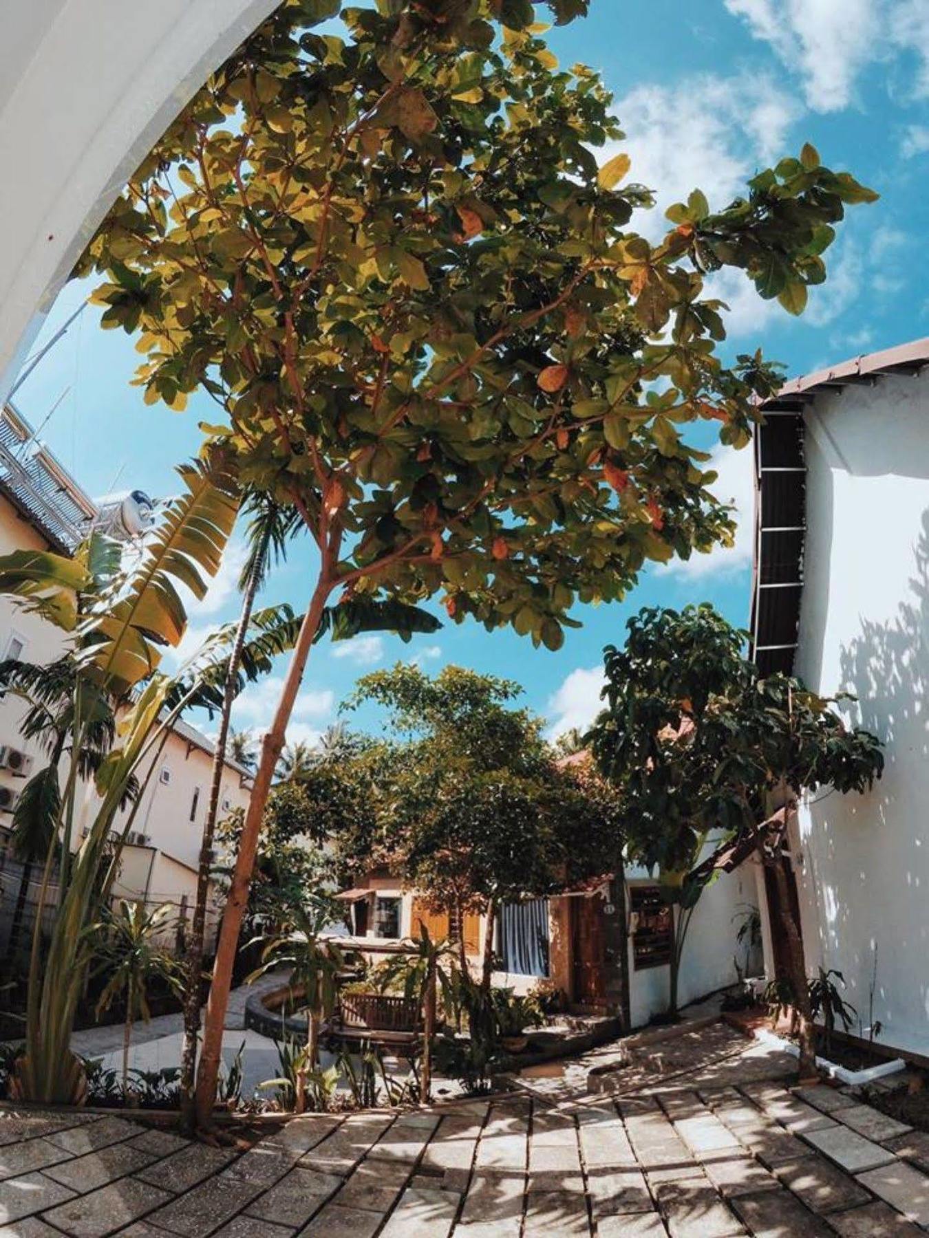 דואונג דונג Sea Living Hostel מראה חיצוני תמונה