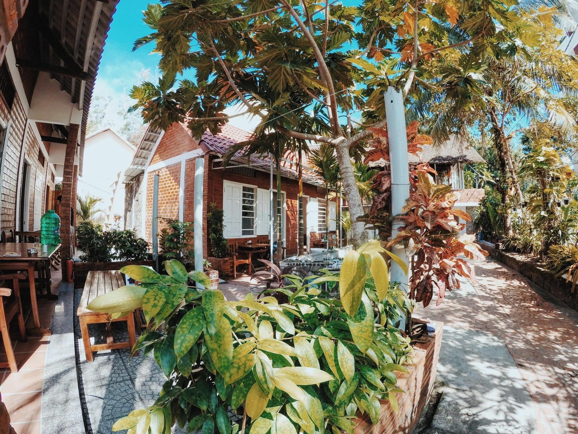 דואונג דונג Sea Living Hostel מראה חיצוני תמונה